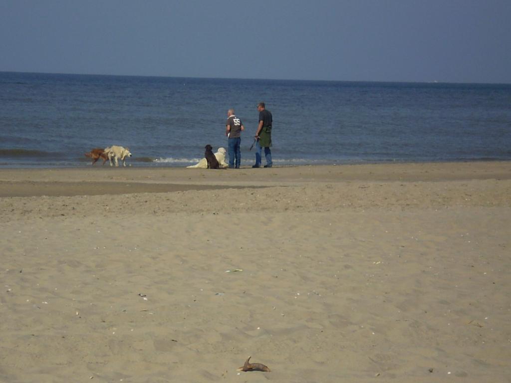 Noordwijk Holiday Rentals Bagian luar foto